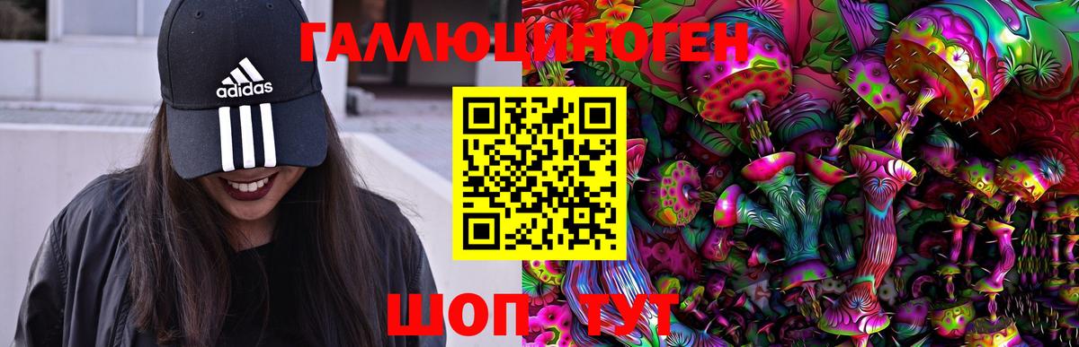 Йошкар-Ола  Псилоцибиновые грибы прущие грибы  Вход с VPN 